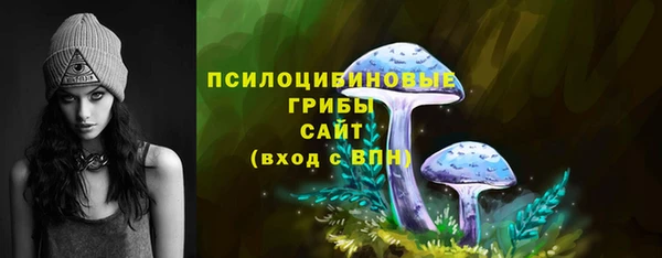apvp Армянск