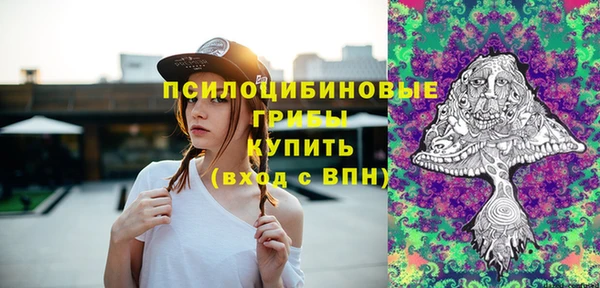 apvp Армянск